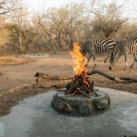 Hello Kruger Hideaway Cottage & Skilpad Studio Marloth Park Extérieur photo