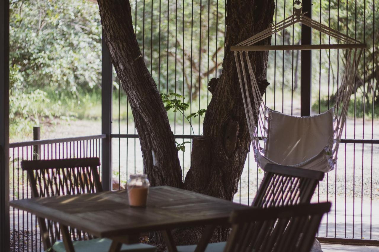 Hello Kruger Hideaway Cottage & Skilpad Studio Marloth Park Extérieur photo