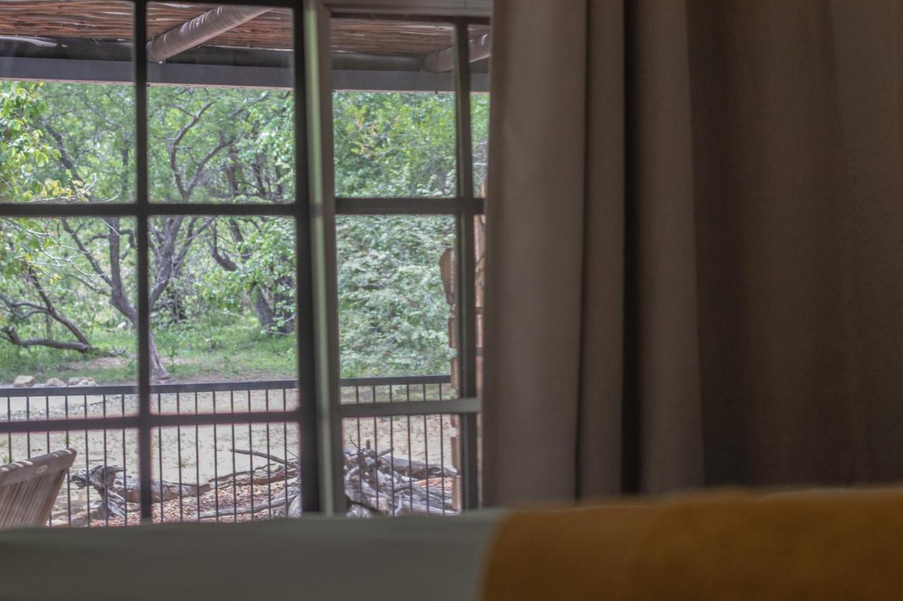 Hello Kruger Hideaway Cottage & Skilpad Studio Marloth Park Extérieur photo