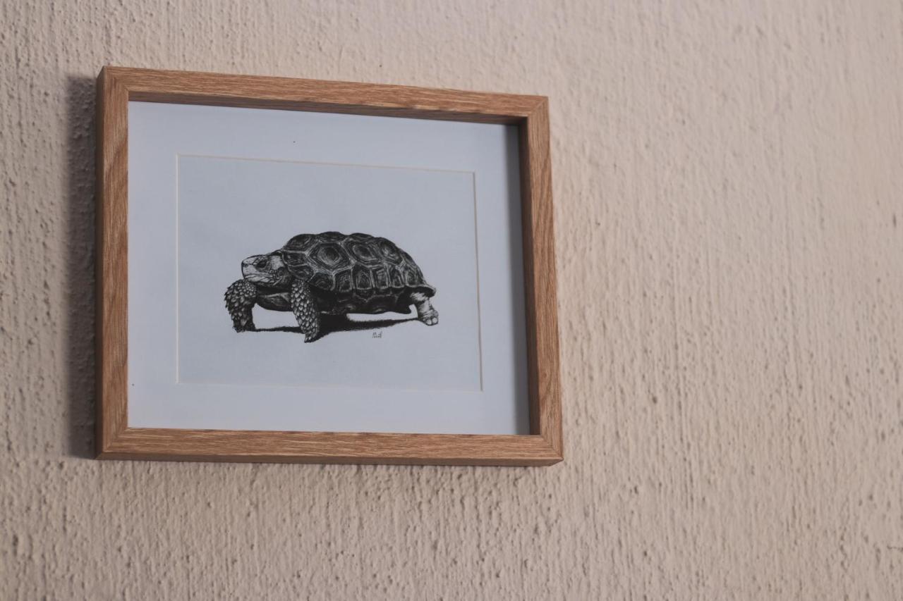 Hello Kruger Hideaway Cottage & Skilpad Studio Marloth Park Extérieur photo