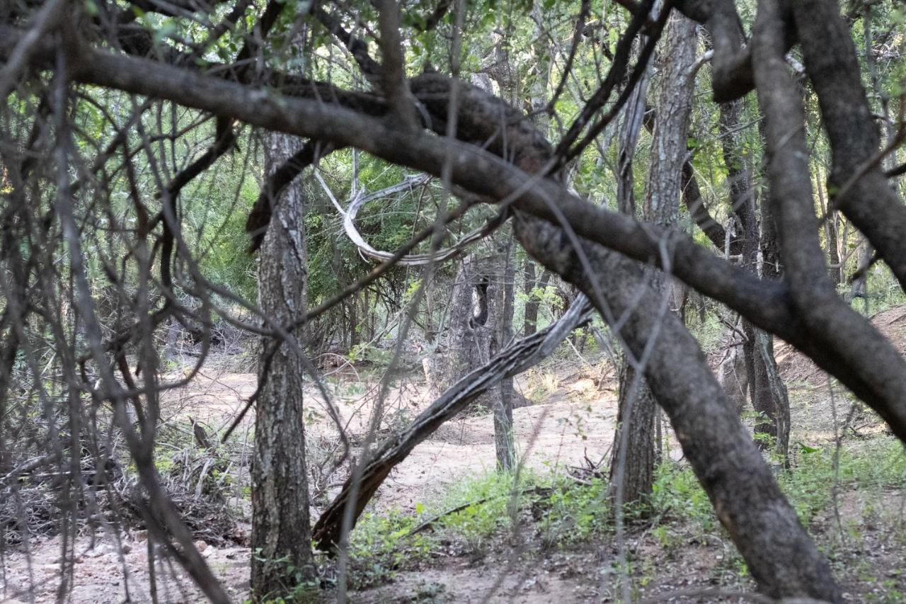 Hello Kruger Hideaway Cottage & Skilpad Studio Marloth Park Extérieur photo