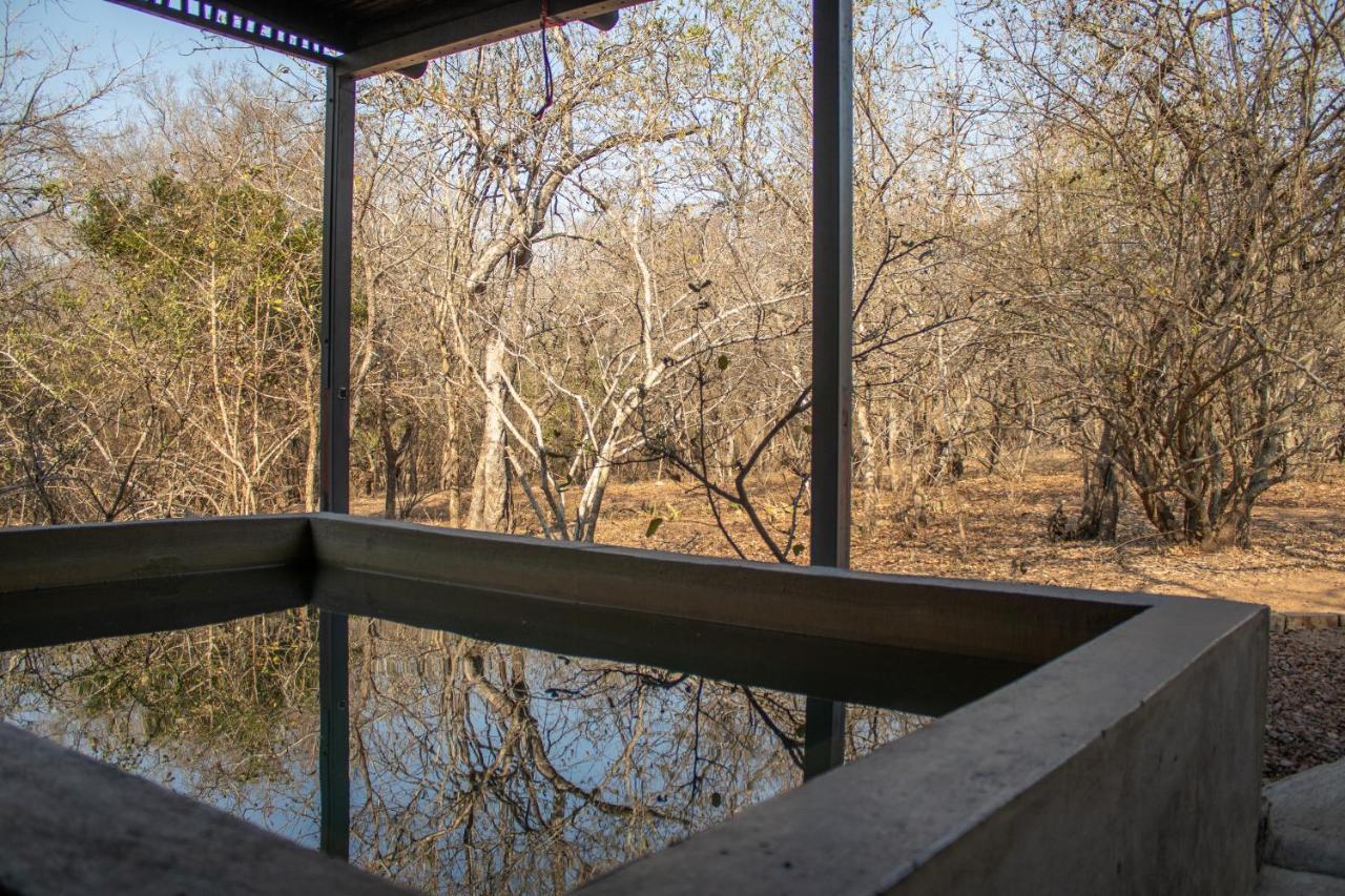 Hello Kruger Hideaway Cottage & Skilpad Studio Marloth Park Extérieur photo