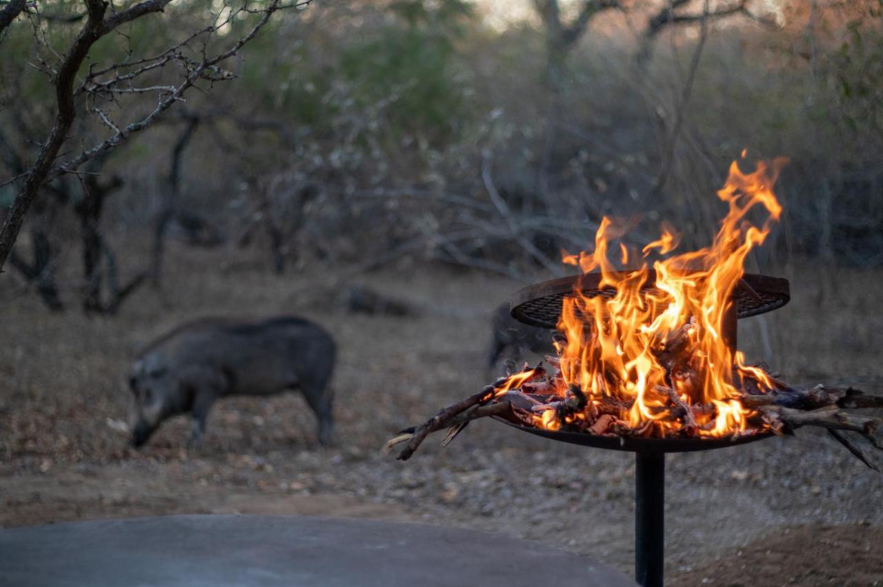 Hello Kruger Hideaway Cottage & Skilpad Studio Marloth Park Extérieur photo