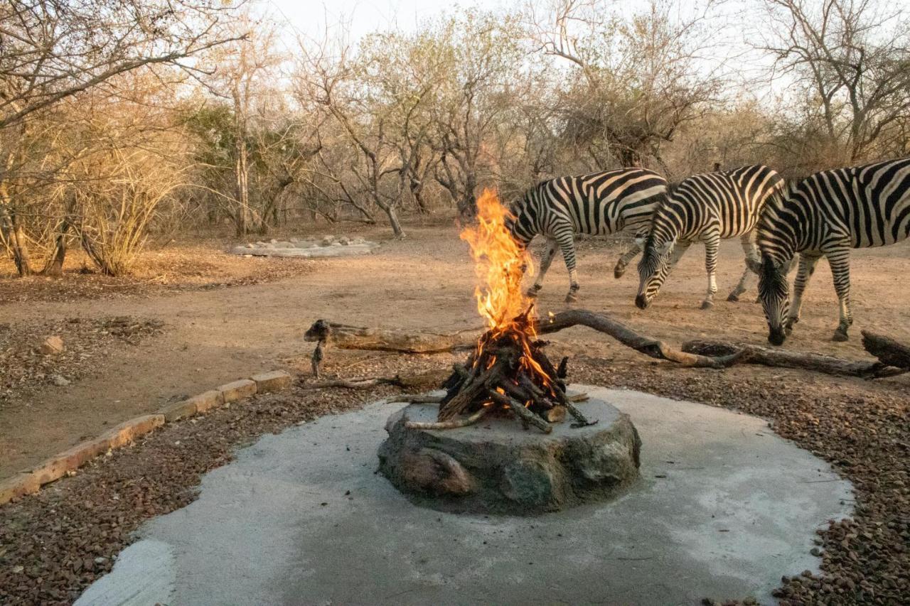 Hello Kruger Hideaway Cottage & Skilpad Studio Marloth Park Extérieur photo