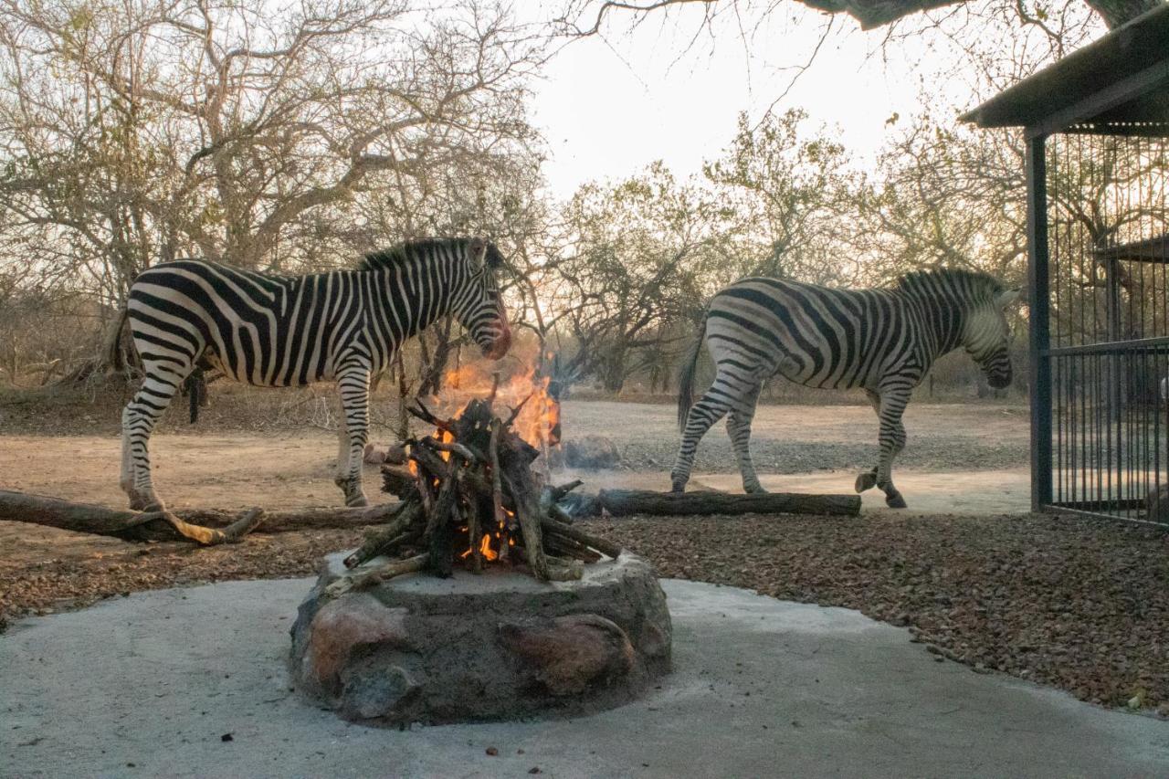 Hello Kruger Hideaway Cottage & Skilpad Studio Marloth Park Extérieur photo